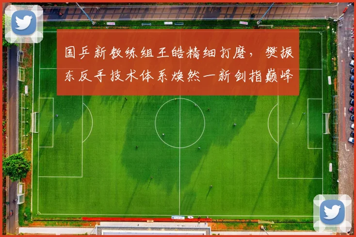 国乒新教练组王皓精细打磨，樊振东反手技术体系焕然一新剑指巅峰