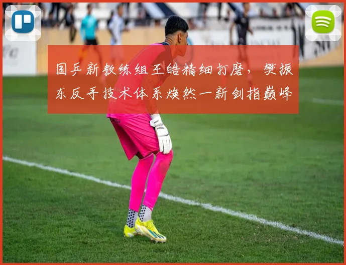 国乒新教练组王皓精细打磨，樊振东反手技术体系焕然一新剑指巅峰
