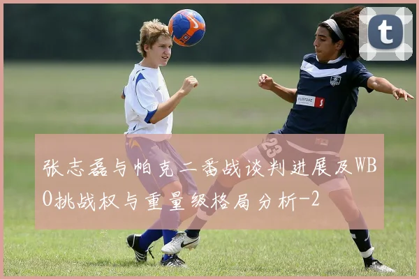 张志磊与帕克二番战谈判进展及WBO挑战权与重量级格局分析