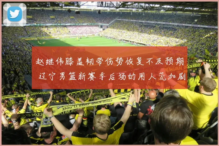 赵继伟膝盖韧带伤势恢复不及预期 辽宁男篮新赛季后场的用人荒加剧